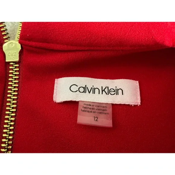 Calvin Klein 12 Red Mock Neck Bow Sheath Dress Office Siren Professional Midi 12 - Picture 4 of 13